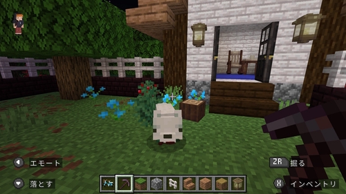 Attach image