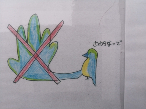 Attach image