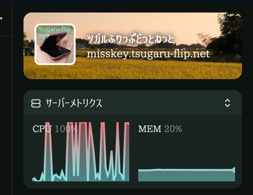Attach image