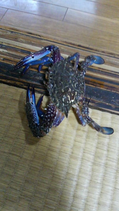Attach image