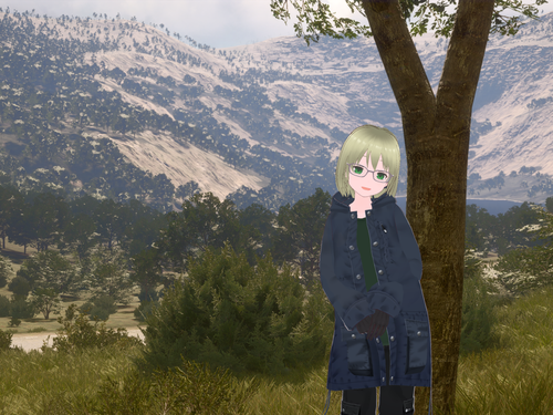 Attach image