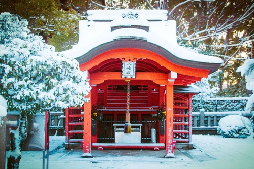 Attach image