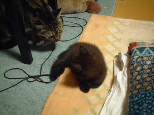 Attach image