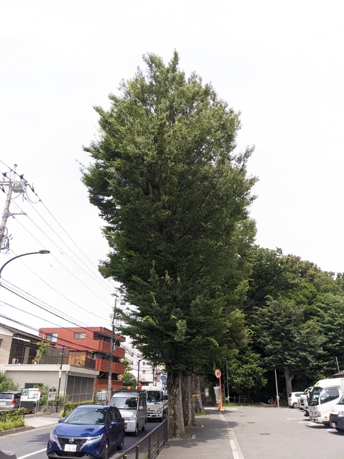 Attach image