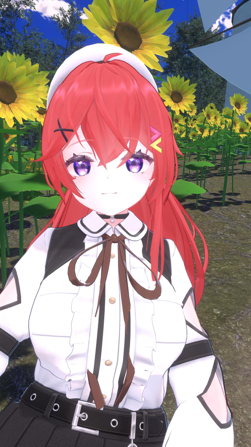 Attach image