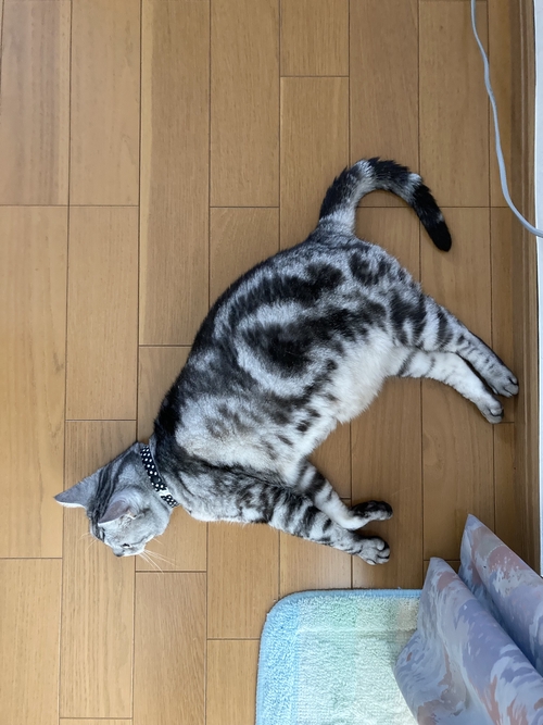 Attach image