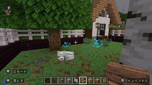 Attach image