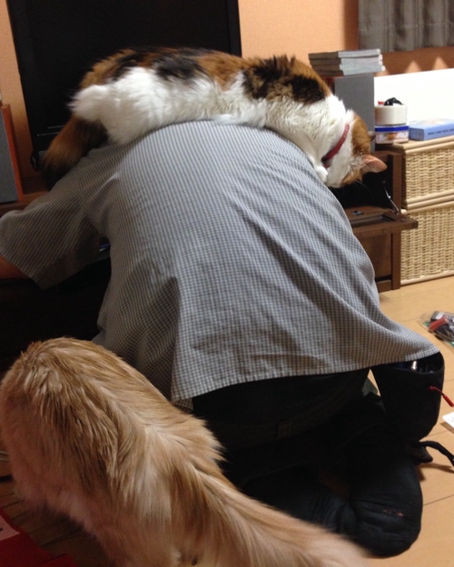 Attach image