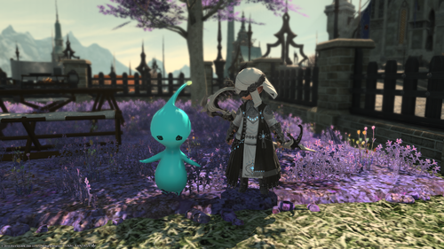 Attach image