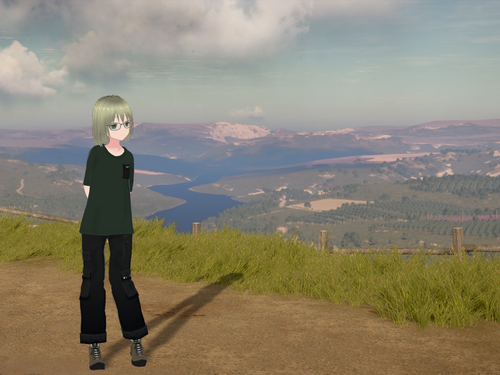 Attach image