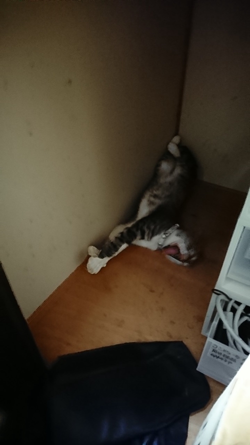 Attach image