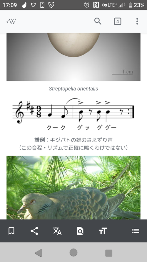 Attach image