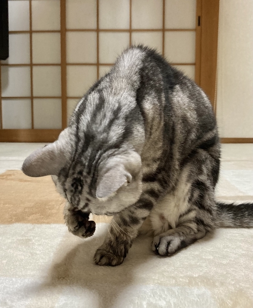 Attach image