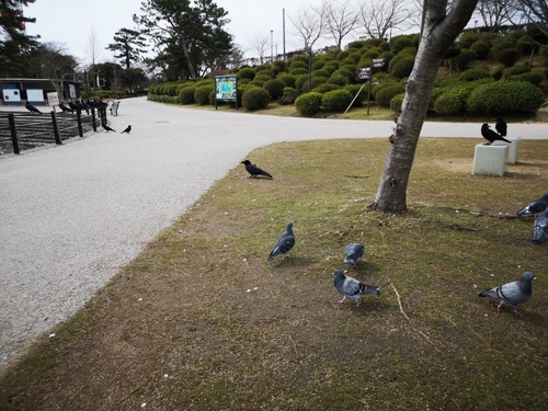 Attach image