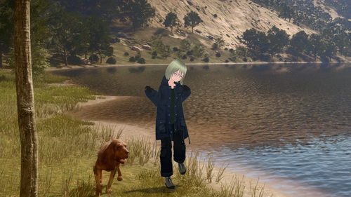 Attach image