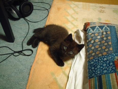 Attach image