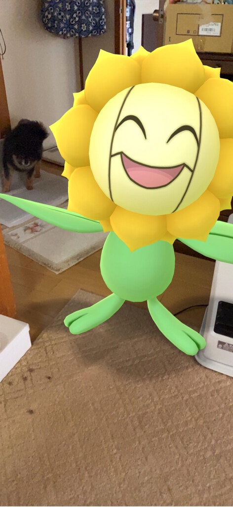 Attach image