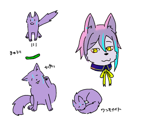 Attach image