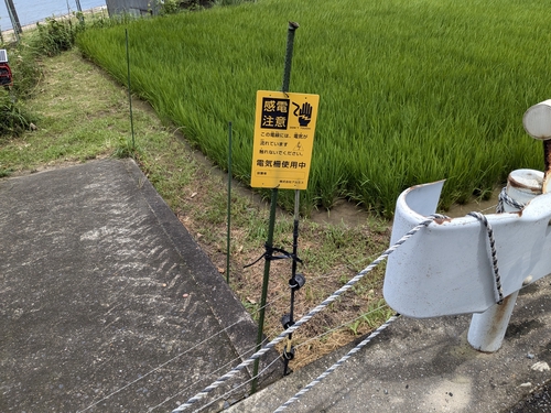 Attach image