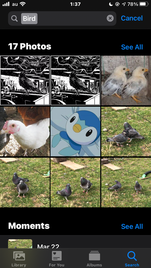 Attach image