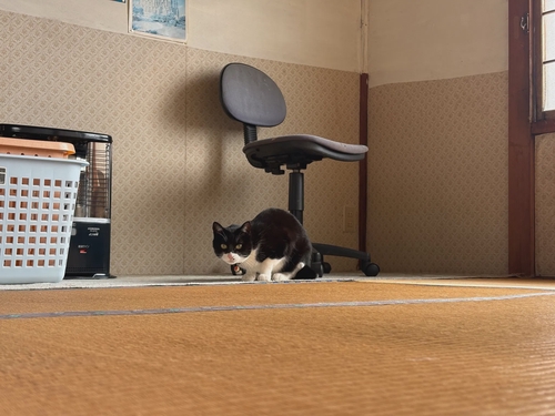 Attach image