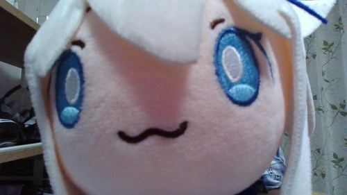 Attach image