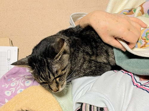 Attach image