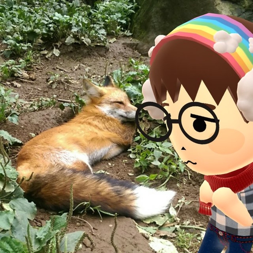 Attach image
