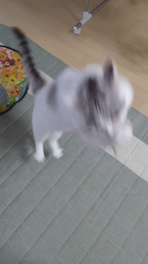 Attach image
