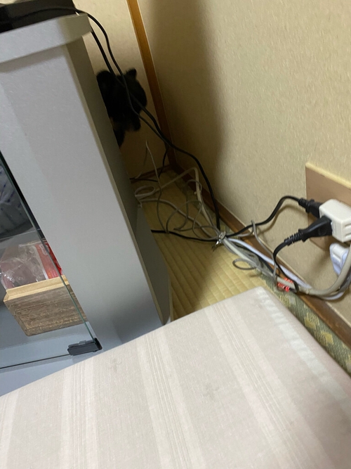 Attach image
