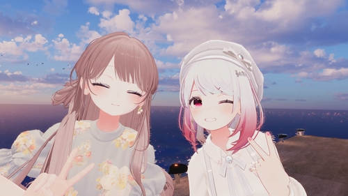 Attach image