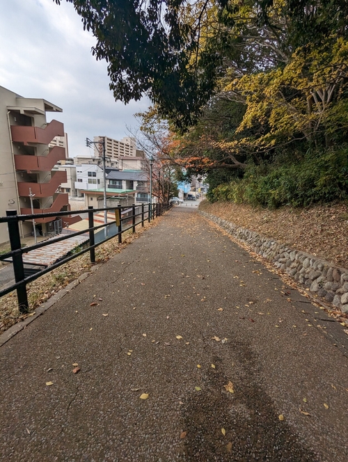 Attach image