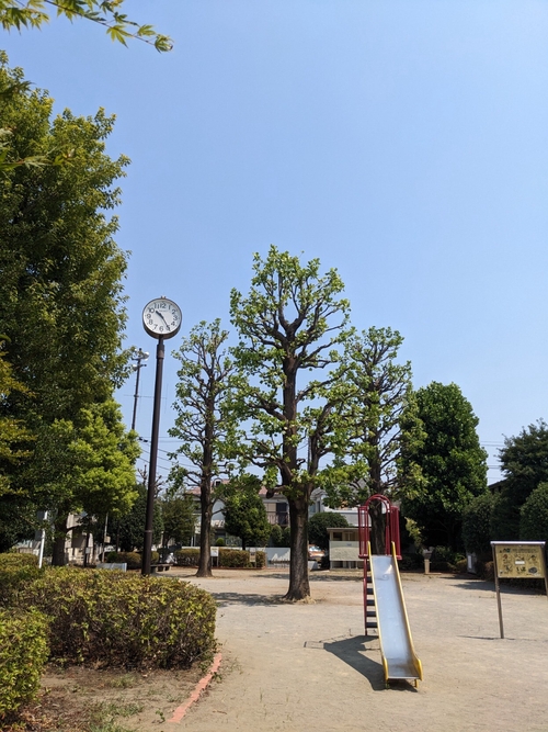 Attach image