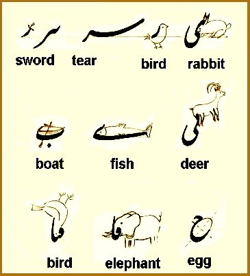 Attach image