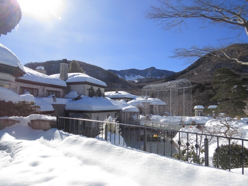 Attach image