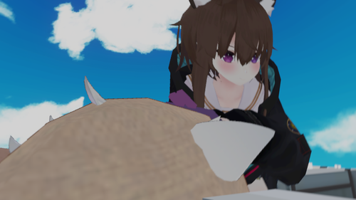 Attach image