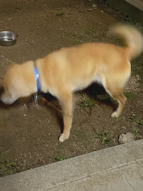 Attach image