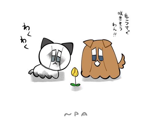 Attach image