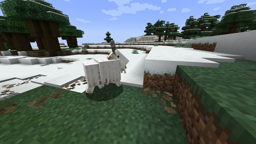 Attach image