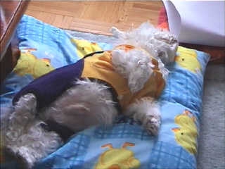 Attach image