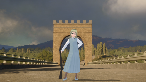 Attach image