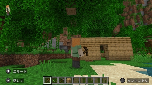 Attach image