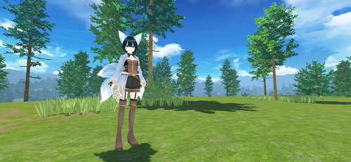 Attach image