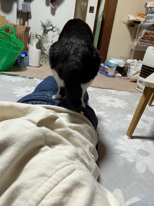 Attach image