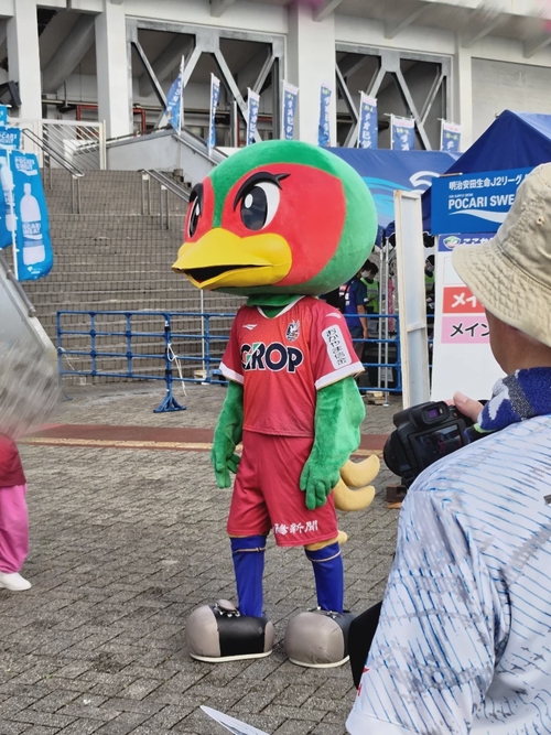 Attach image