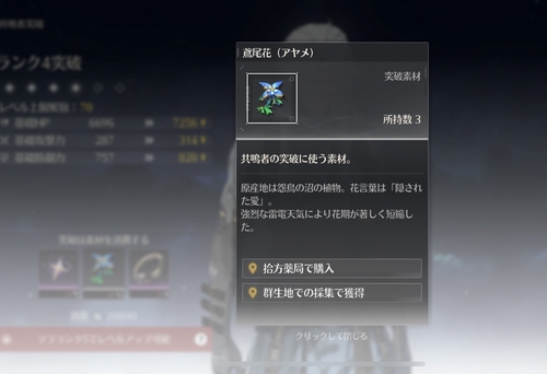 Attach image