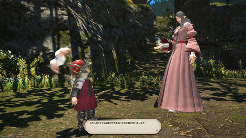 Attach image