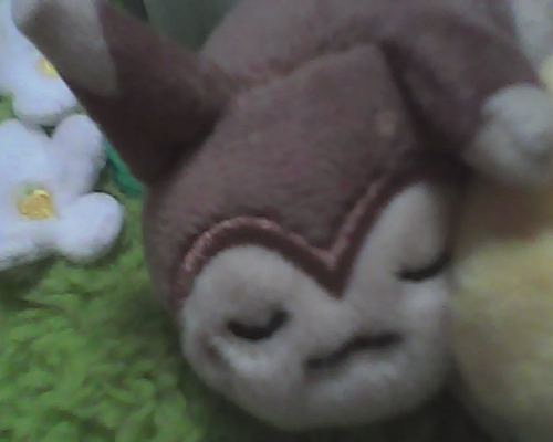 Attach image