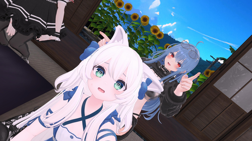 Attach image