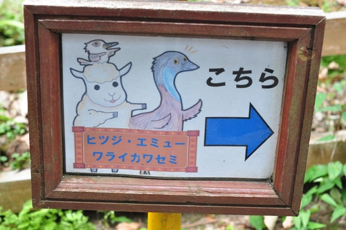 Attach image